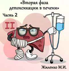 Лектор вебинара