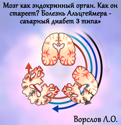 Лектор вебинара
