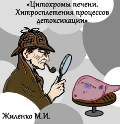 Лектор вебинара