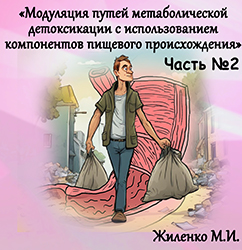 Лектор вебинара