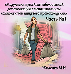 Лектор вебинара