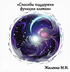 Лектор вебинара