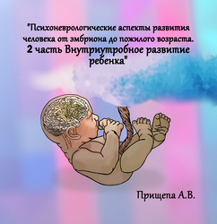 Лектор вебинара