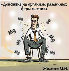 Лектор вебинара