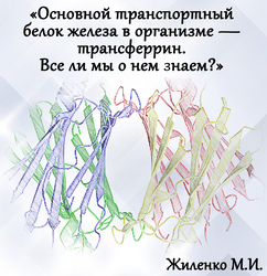 Лектор вебинара