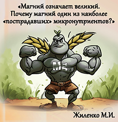 Лектор вебинара