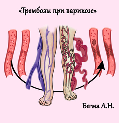 Лектор вебинара
