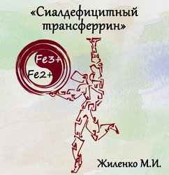 Лектор вебинара