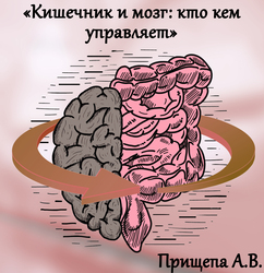 Лектор вебинара